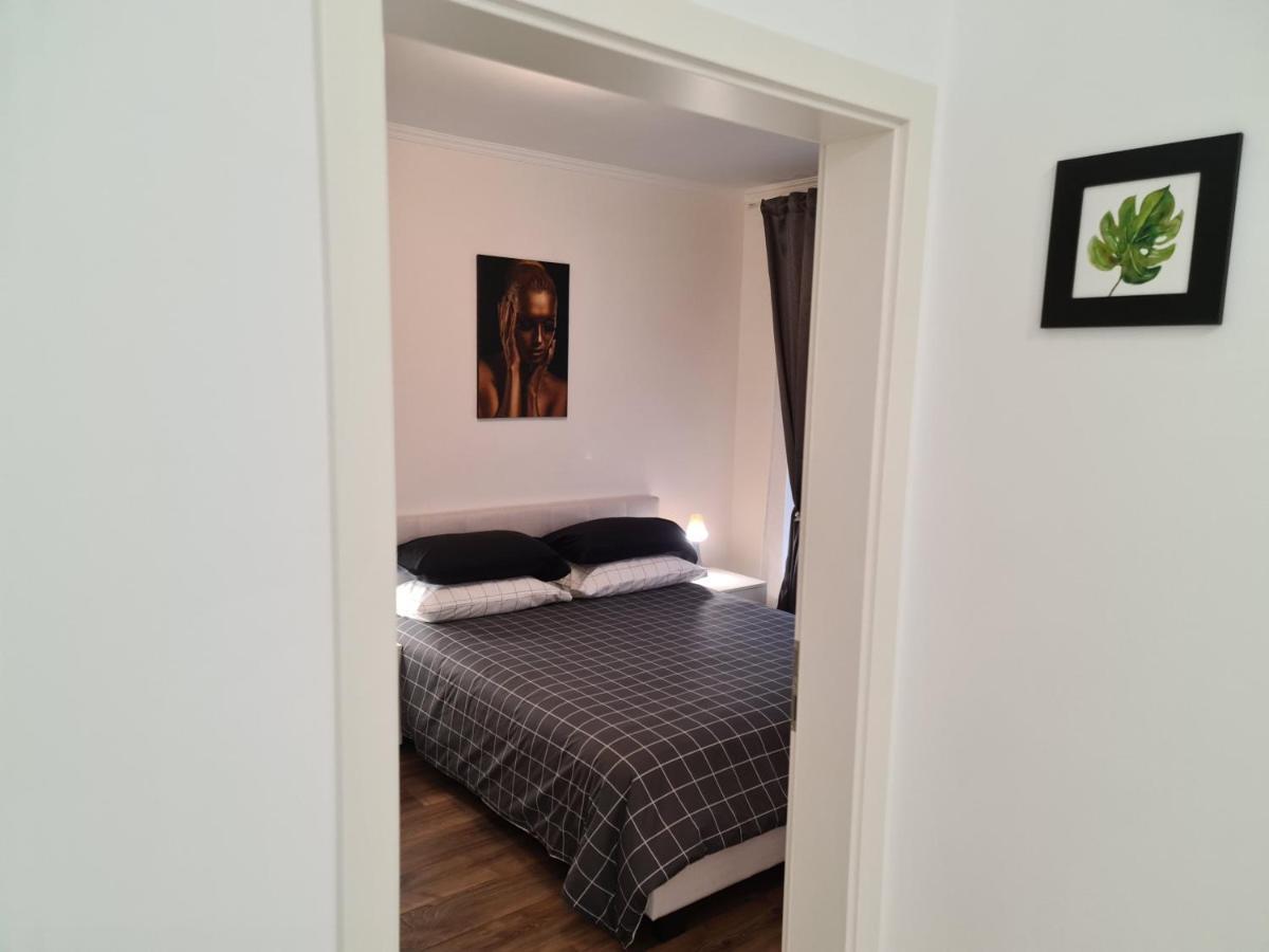 Oscar House Lägenhet Braşov Exteriör bild